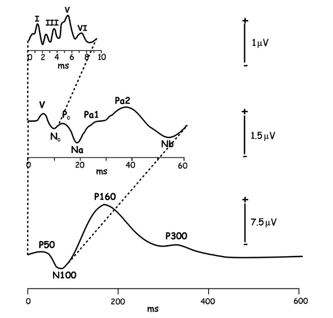 Typical sequence of auditory sensory components. The waveform elicited by a click stimulus shown over different time ranges. At top, the auditory brainstem responses, middle, the mid-latency responses, and bottom, the long-latency responses. Adapted from Pratt (2012). Copyright 2012 Oxford University Press.